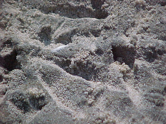 MVC_004F_001.jpg