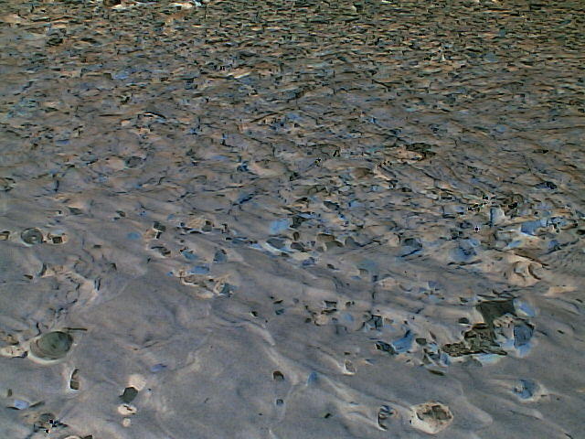 MVC_005F_002.jpg