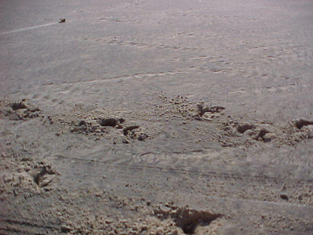 MVC_006F_001.jpg