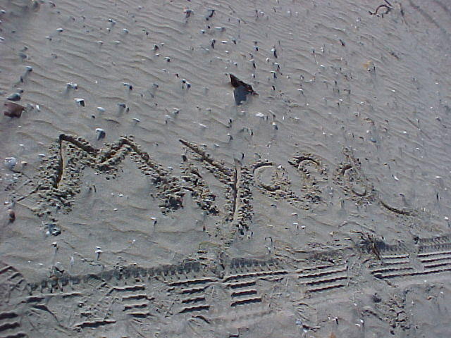 MVC_006F_002.jpg