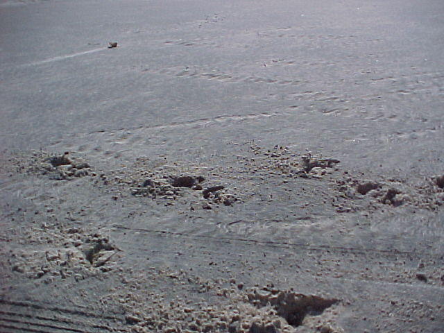MVC_007F_001.jpg