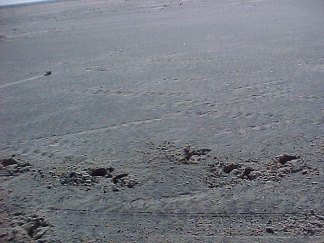 MVC_008F_001.jpg