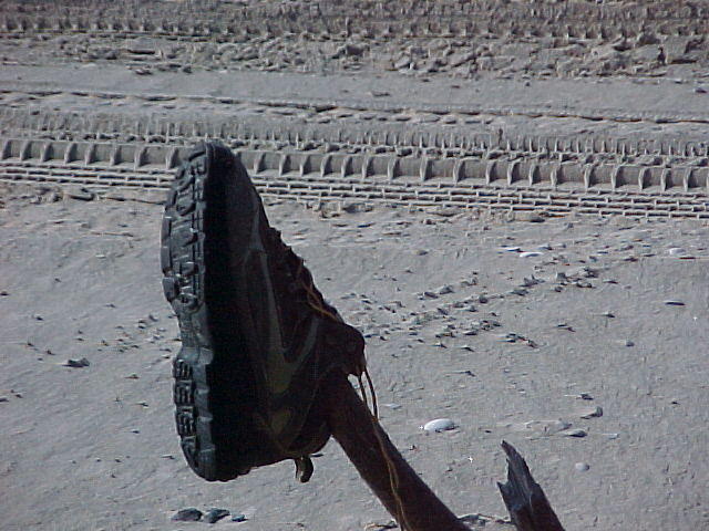 MVC_008F_002.jpg
