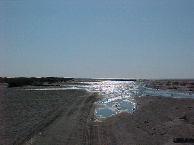 MVC_009F_001.jpg