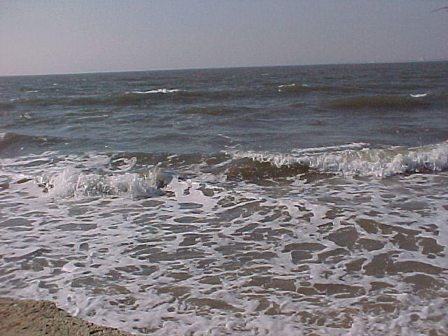 MVC_011F.jpg