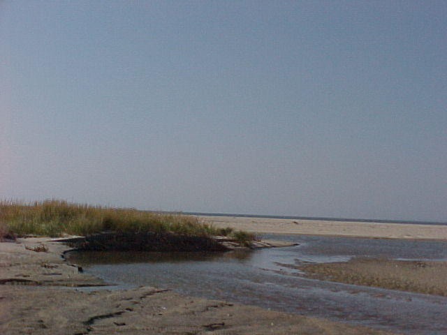 MVC_011F_002.jpg