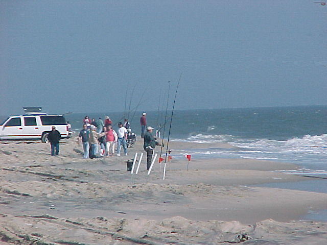 MVC_011F_003.jpg