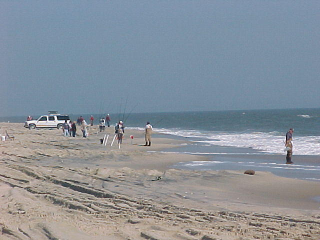 MVC_012F_003.jpg