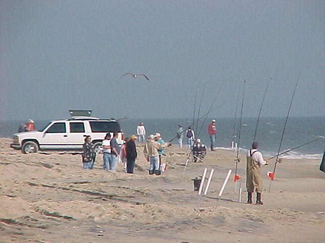 MVC_013F_003.jpg