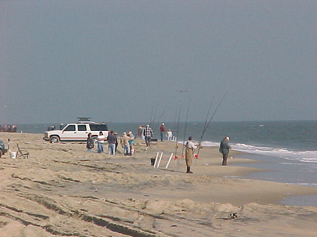 MVC_014F_003.jpg