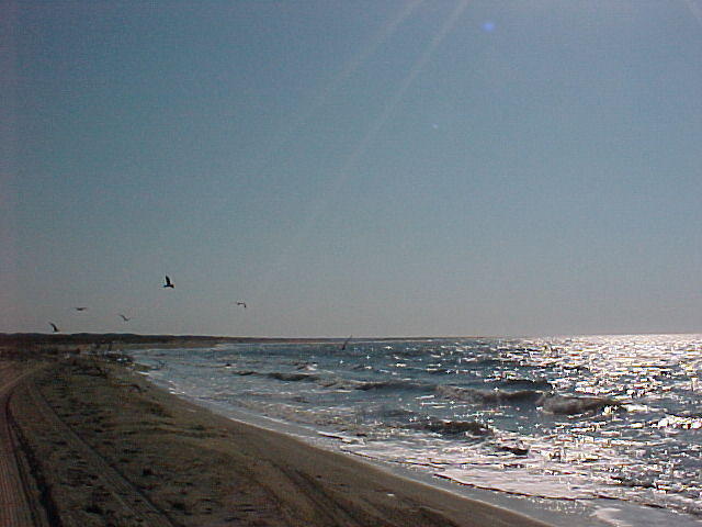 MVC_015F.jpg