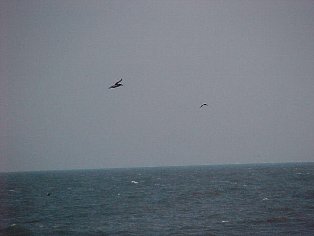 MVC_015F_001.jpg