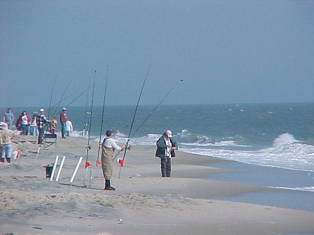 MVC_015F_003.jpg