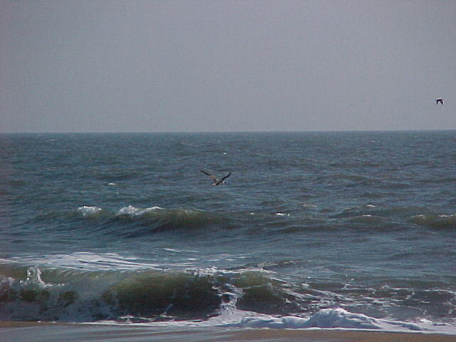 MVC_016F_001.jpg