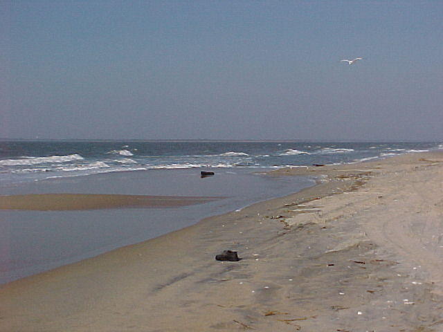 MVC_018F_002.jpg