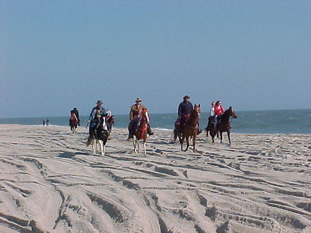 MVC_018F_003.jpg