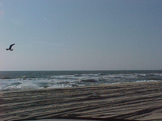 MVC_021F_001.jpg