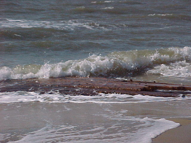 MVC_021F_002.jpg
