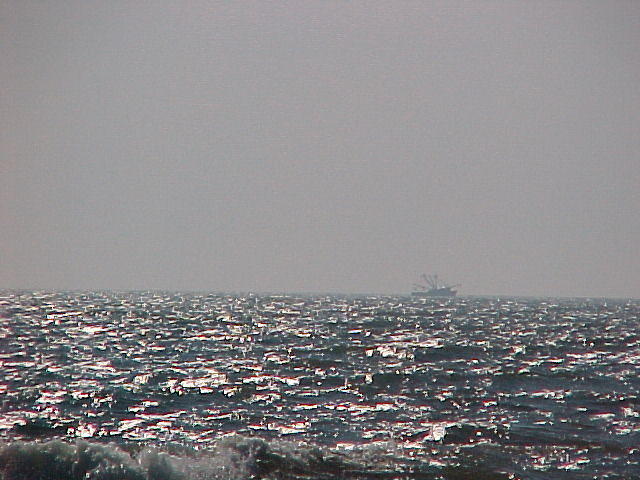 MVC_022F_001.jpg