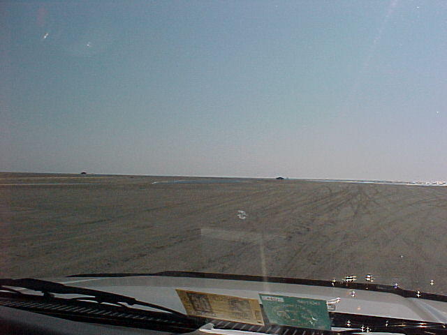 MVC_023F_001.jpg