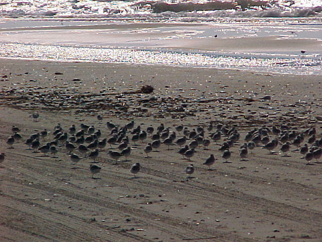 MVC_024F_001.jpg