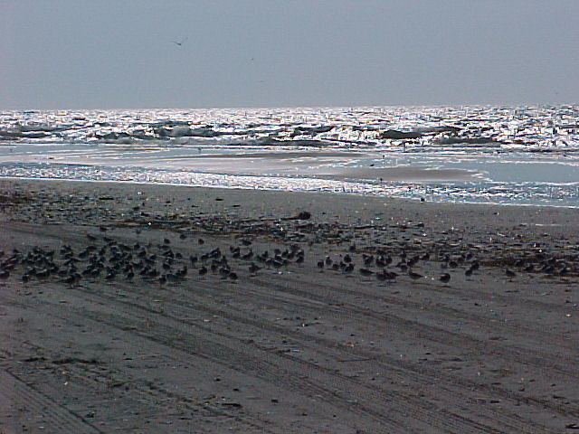 MVC_025F_001.jpg