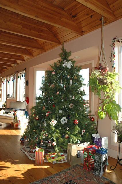 Dec. 21st, 2005