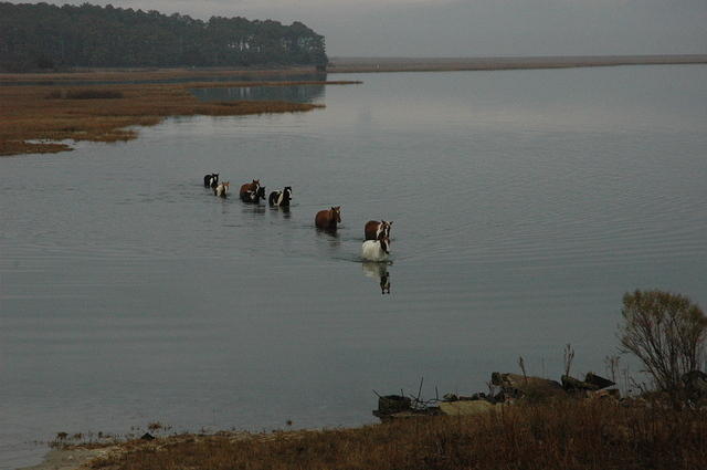 Dec. 29th, 2005