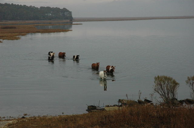 Dec. 29th, 2005