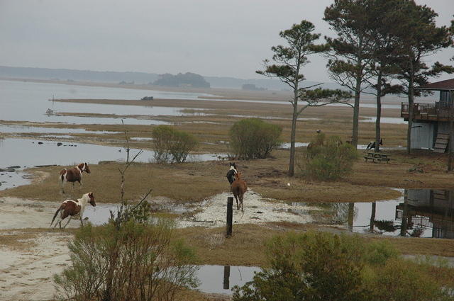 Dec. 29th, 2005
