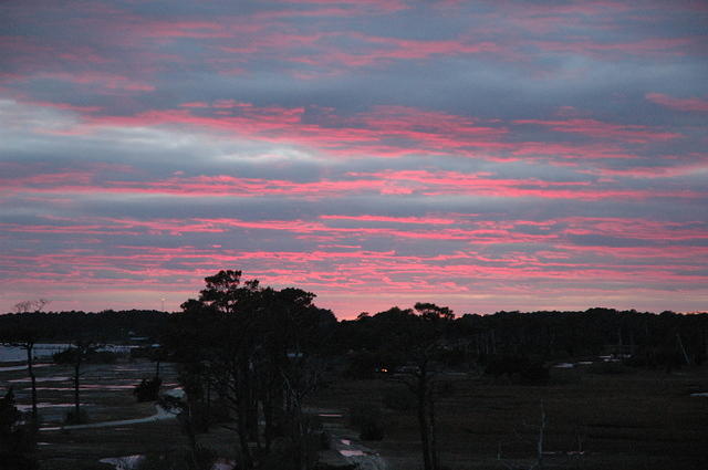 DSC_0094.jpg