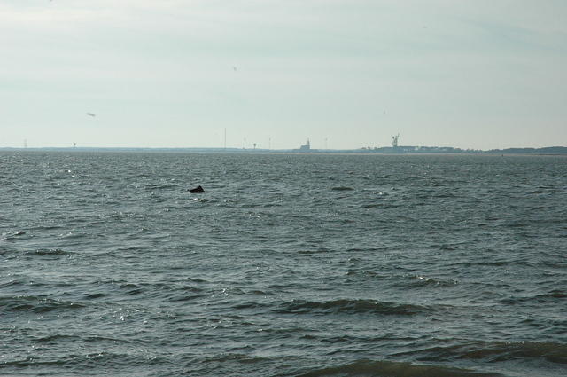 DSC_0104.jpg