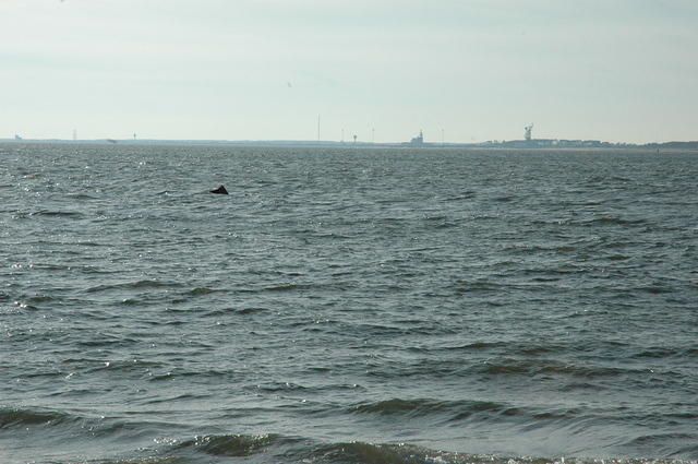 DSC_0105.jpg