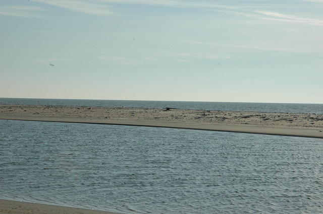 DSC_0107.jpg