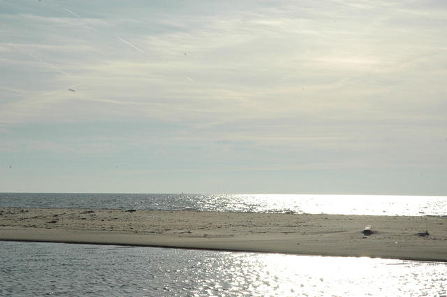 DSC_0108.jpg