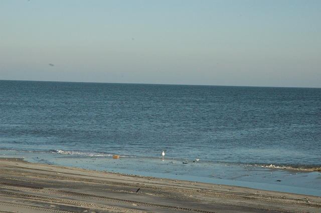 DSC_0112.jpg