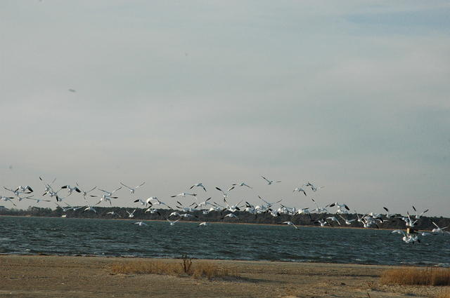 DSC_0114.jpg