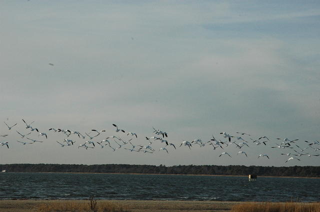 DSC_0115.jpg