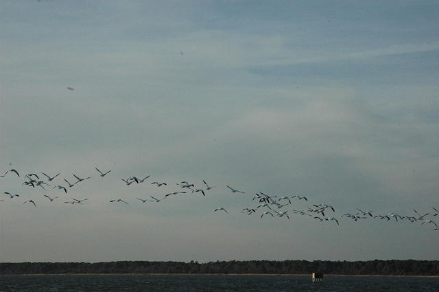 DSC_0116.jpg