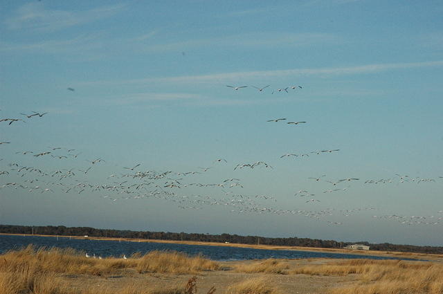 DSC_0119.jpg