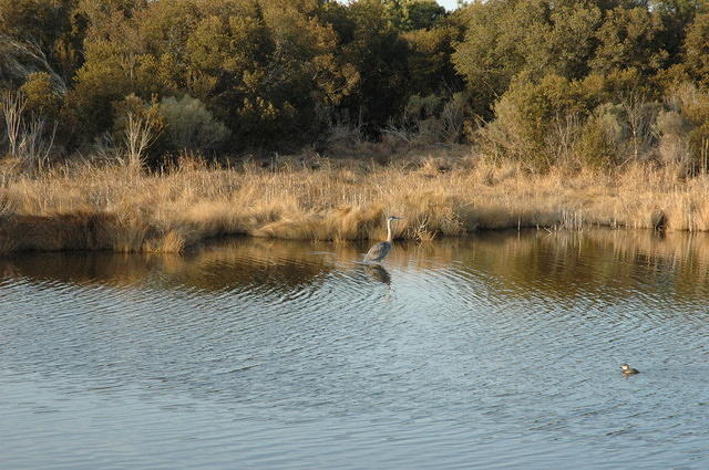 DSC_0122.jpg