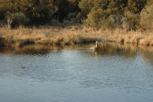 DSC_0123.jpg