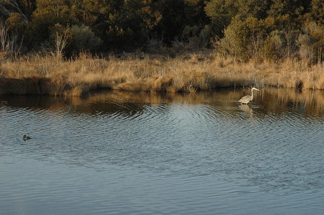 DSC_0124.jpg