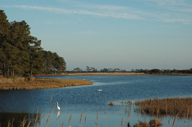 DSC_0127.jpg