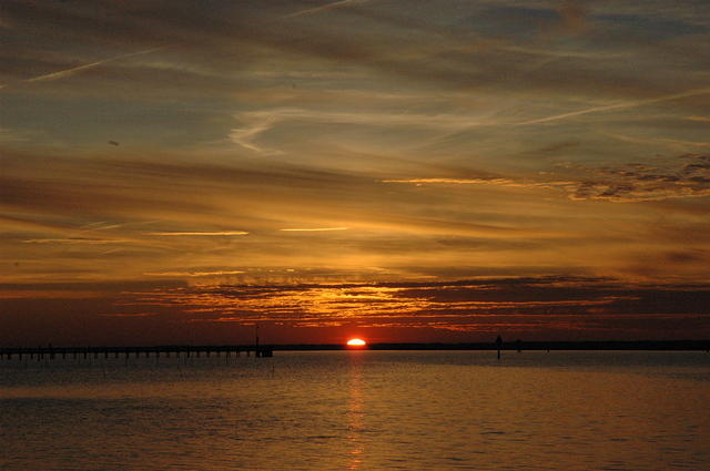 DSC_0133.jpg