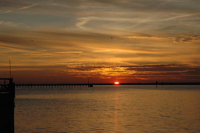 DSC_0135.jpg