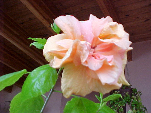 Jan. 14th, 2006