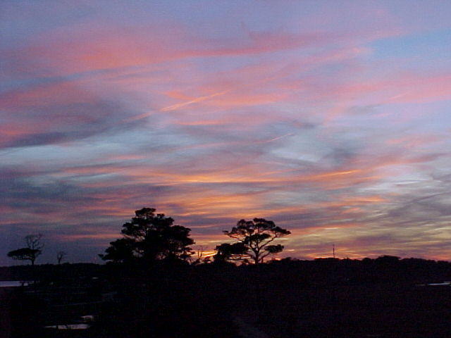 Jan. 20th, 2006