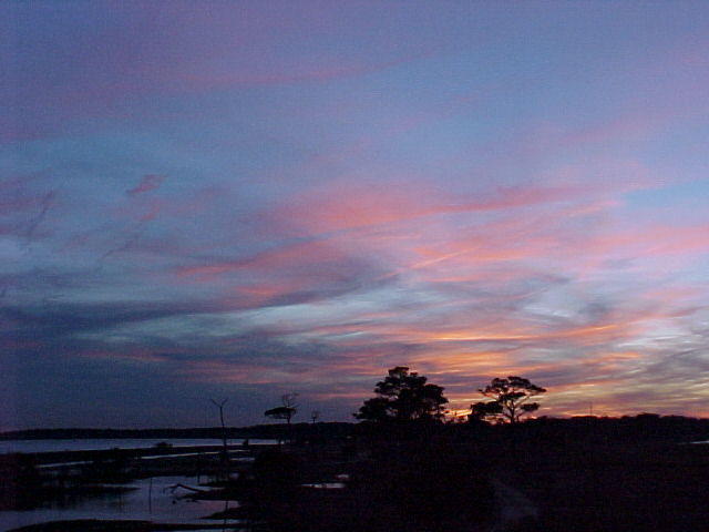 Jan. 20th, 2006
