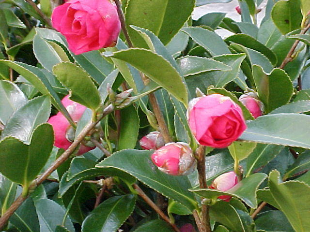 Dec. 22nd, 2006